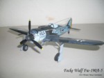 Focke Wulf Fw-190A-5 (01).JPG

60,35 KB 
1024 x 768 
28.06.2014
